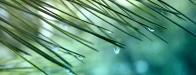 Yrityksen 3 kuva TA INSTITUUTTI - TRANSAKTIOANALYYSI KOULUTUS JA TYÖNOHJAUS Muu terveyspalvelu  Helsinki 18