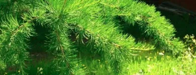 Yrityksen 1 kuva TAPIO PALVELUT OY  Helsinki 18