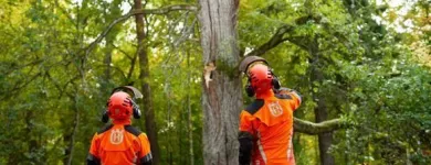 Yrityksen 2 kuva TOURAN PUU-APU OY Rautateiden ja metrolinjojen rakentaminen  Kantele 18