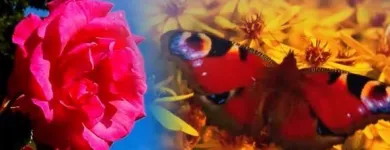 Yrityksen 1 kuva TREILI OY Mielenterveysongelmaisten asumispalvelut  Tampere 11