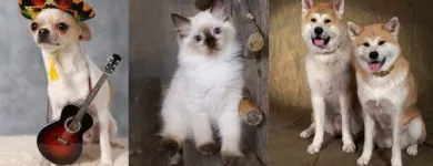 Yrityksen 1 kuva VALOKUVAAMO ETUKUVA OY Valokuvausalan vähittäiskauppa  Vantaa 18