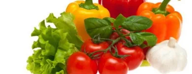 Yrityksen 5 kuva VIHANNESLINJA OY  Tampere 11