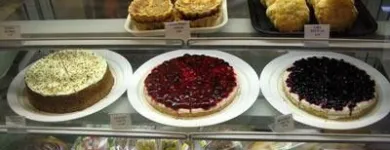 Yrityksen 2 kuva YLÖJÄRVEN LEIPOMO OY Leivän valmistus; tuoreiden leivonnaisten ja kakkujen valmistus  Ylöjärvi 11