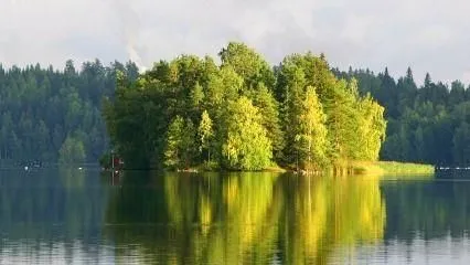 Yrityksen 7 kuva METSÄNHOITOYHDISTYS PYHÄ-KALA PYHÄJOEN TOIMISTO