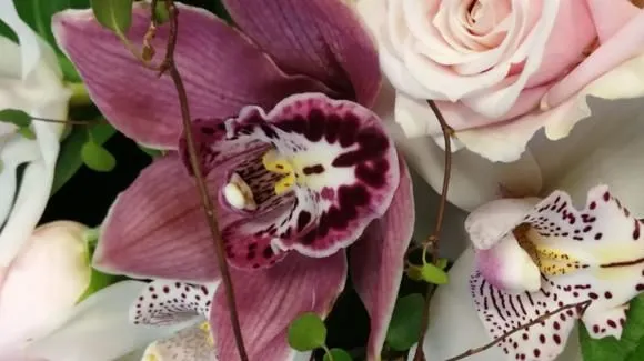 Yrityksen 4 kuva PIRKKALAN KUKKAPALVELU OY