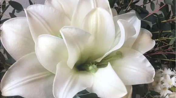 Yrityksen 5 kuva PIRKKALAN KUKKAPALVELU OY