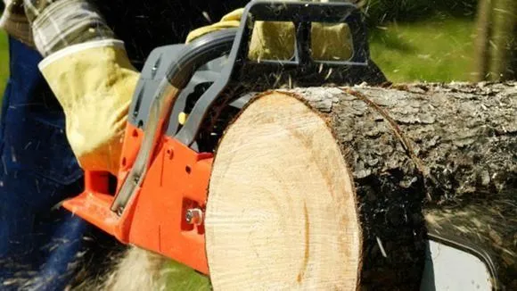 Yrityksen 1 kuva AVUKSI LEO TMI