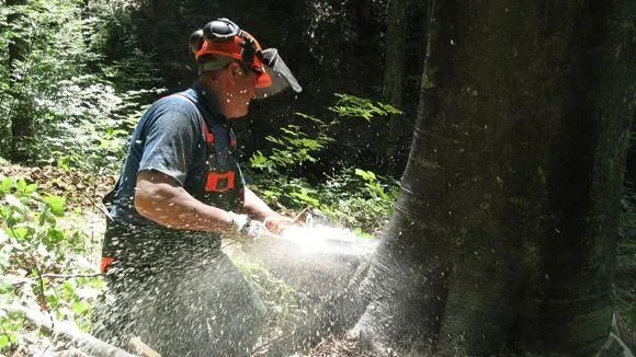 Yrityksen 2 kuva AVUKSI LEO TMI