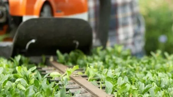 Yrityksen 3 kuva AVUKSI LEO TMI