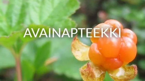 Yrityksen 2 kuva EURAN APTEEKKI