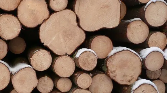 Yrityksen 3 kuva METSÄNHOITOYHDISTYS PYHÄ-KALA NIVALAN TOIMISTO