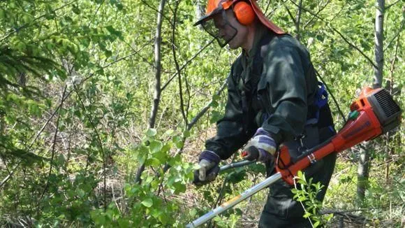 Yrityksen 6 kuva METSÄNHOITOYHDISTYS PYHÄ-KALA NIVALAN TOIMISTO
