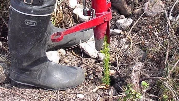 Yrityksen 5 kuva METSÄNHOITOYHDISTYS PYHÄ-KALA PYHÄJOEN TOIMISTO