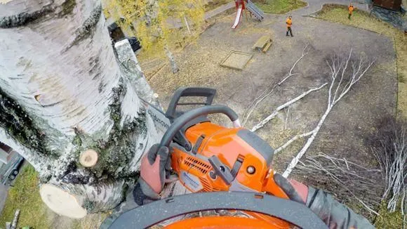 Yrityksen 1 kuva TOURAN PUU-APU OY