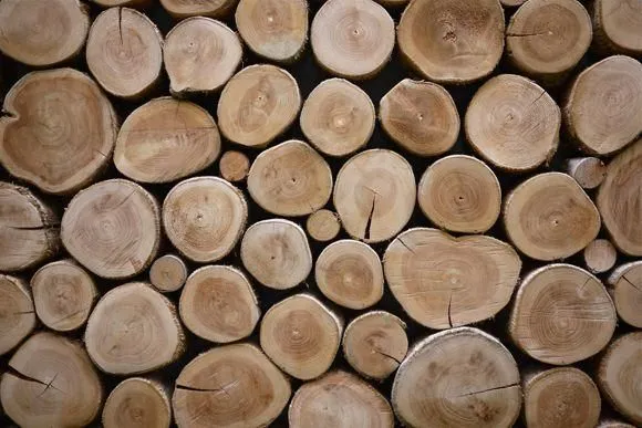 Yrityksen 4 kuva METSÄSUUNNITTELU HOLLANTI OY