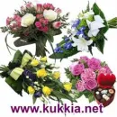 KOIVUHAAN KUKKAKAUPPA OY Kukkien vähittäiskauppa  Vantaa 18