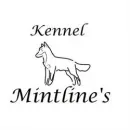 KENNEL MINTLINE'S  Peipohja 17
