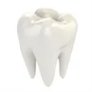 HAMMASLÄÄKÄRI MIKA NIEMINEN OY Hammaslääkäripalvelut  Valkeakoski 11