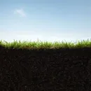 KONEURAKOINTI VIRTA AVOIN YHTIÖ Muun nautakarjan ja puhvelien kasvatus  Haapavesi 14