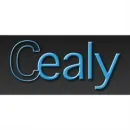 CEALY OY Muu liikkeenjohdon konsultointi  Helsinki 18